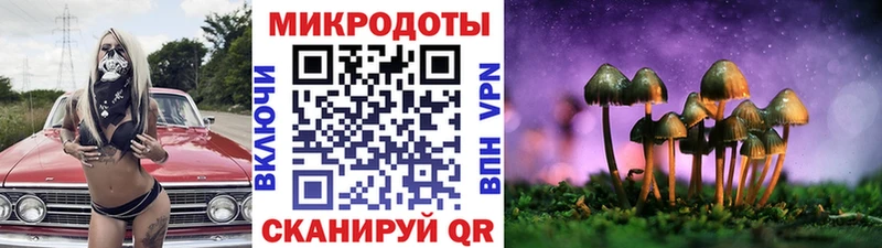 KRAKEN ССЫЛКА  Нижний Ломов  Галлюциногенные грибы GOLDEN TEACHER 